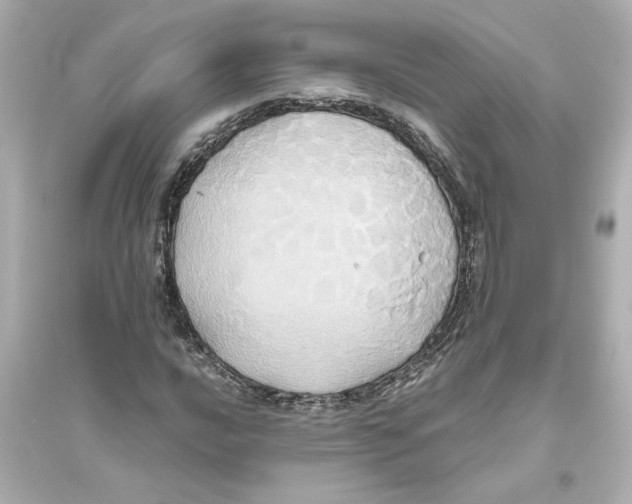 X0000093611016200711121207