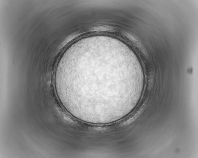 X0000093611017200711121207