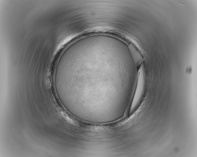 X0000093611018200711121207