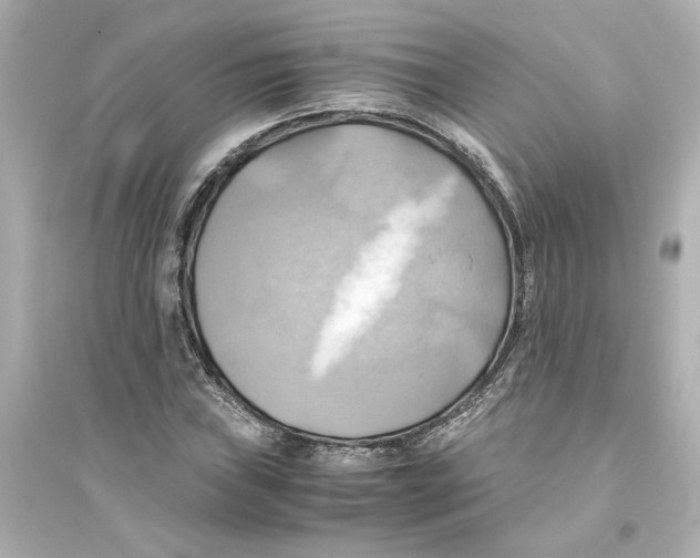 X0000093611019200711121207