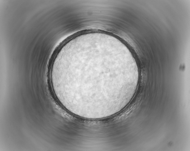 X0000093611020200711121207