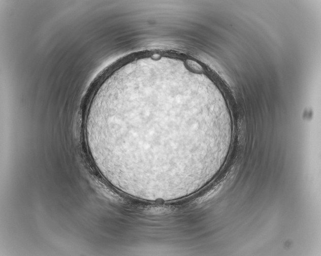 X0000093611021200711121207