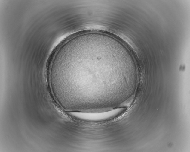 X0000093611022200711121207