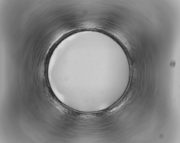 X0000093611023200711121207