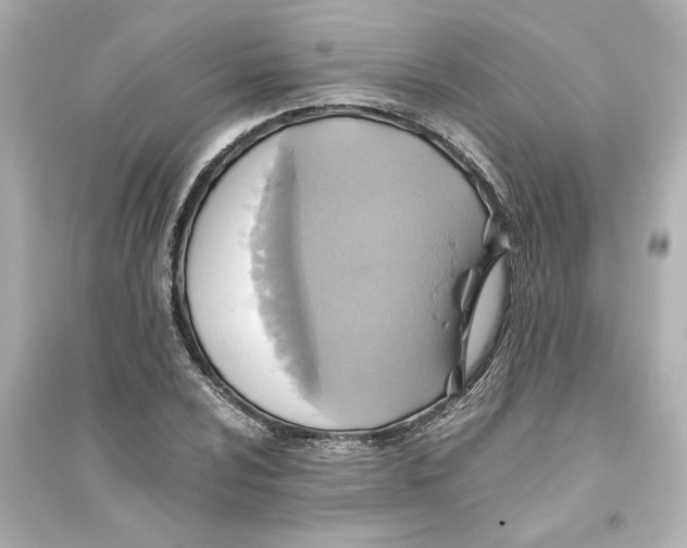 X0000093611024200711121207