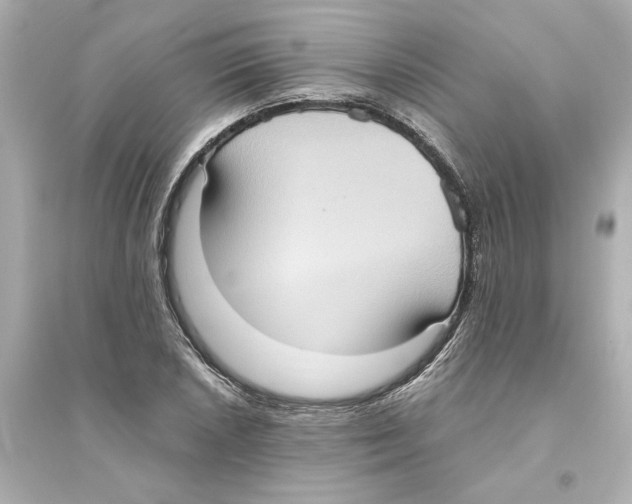 X0000093611026200711121207