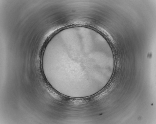 X0000093611027200711121207