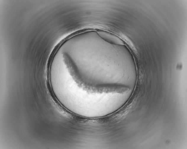 X0000093611028200711121207