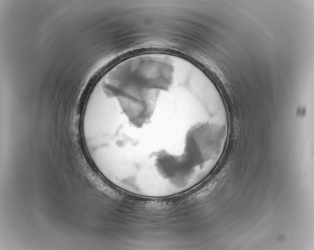 X0000093611029200711121207