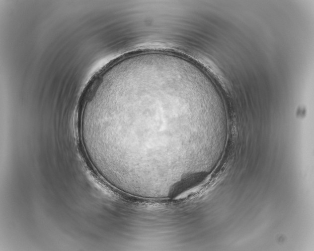 X0000093611030200711121207