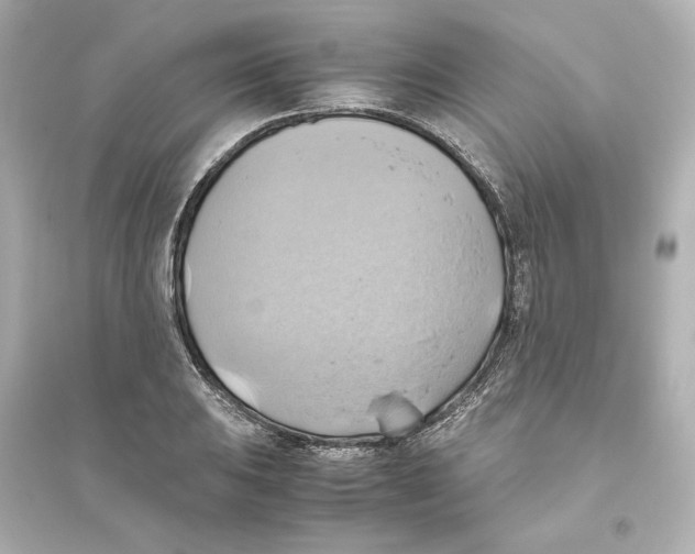 X0000093611031200711121207