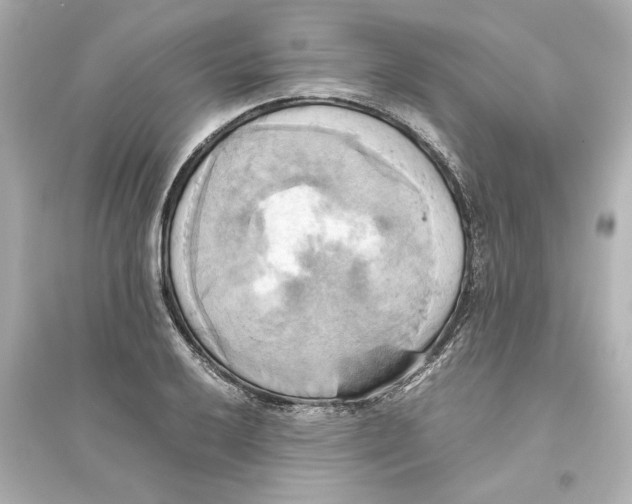 X0000093611032200711121207