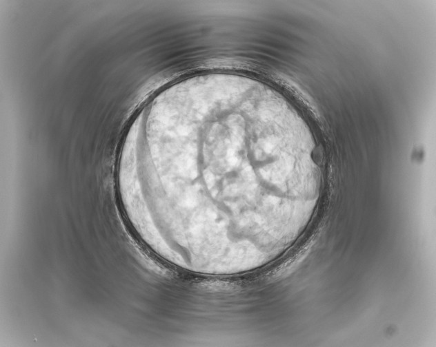 X0000093611033200711121207