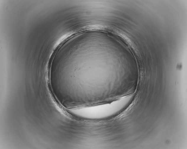 X0000093611034200711121207
