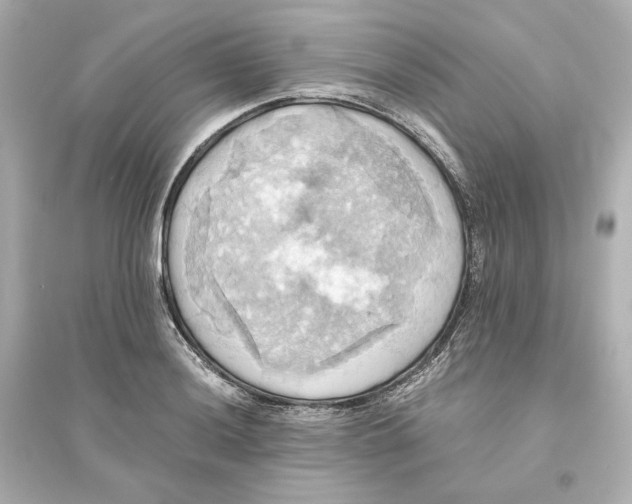 X0000093611036200711121207