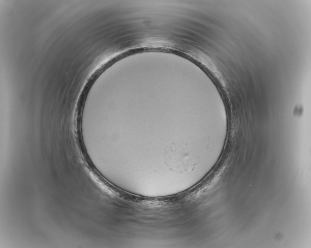X0000093611037200711121207