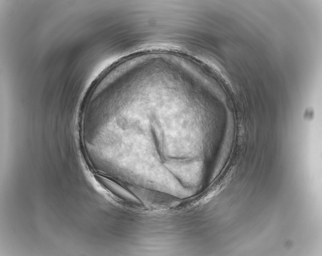 X0000093611038200711121207