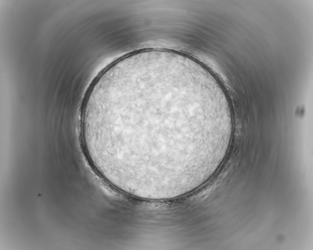 X0000093611040200711121207