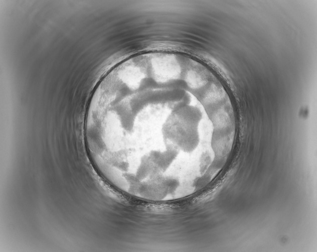 X0000093611041200711121207