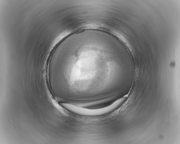 X0000093611042200711121207