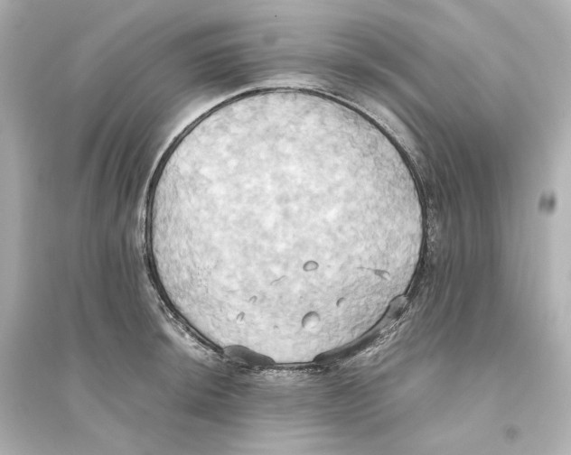 X0000093611044200711121207