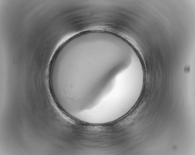 X0000093611045200711121207