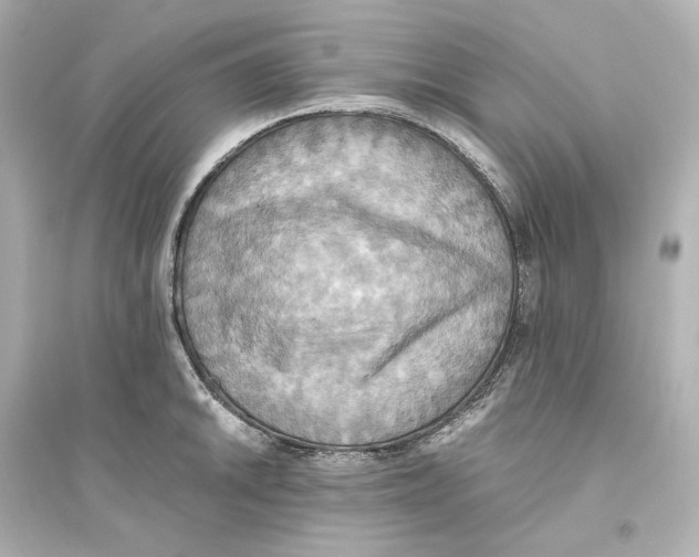 X0000093611046200711121207