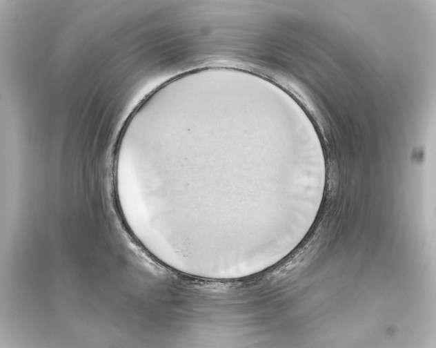 X0000093611048200711121207