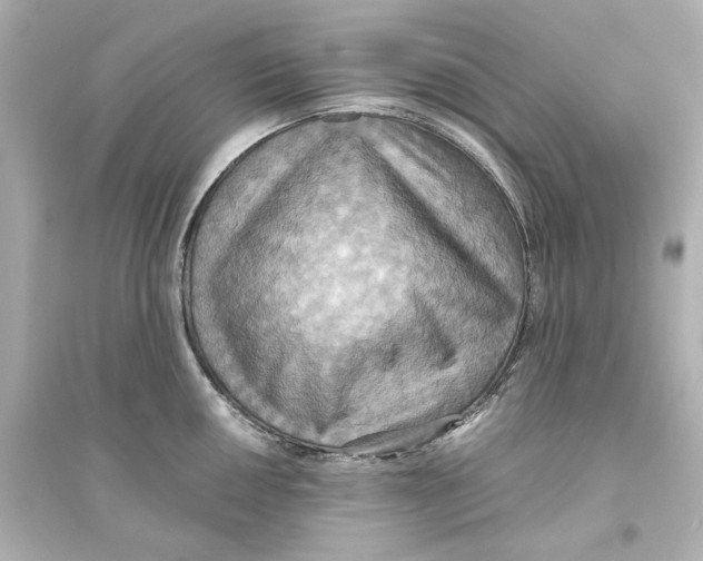 X0000093611050200711121207
