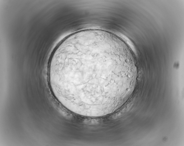 X0000093611051200711121207