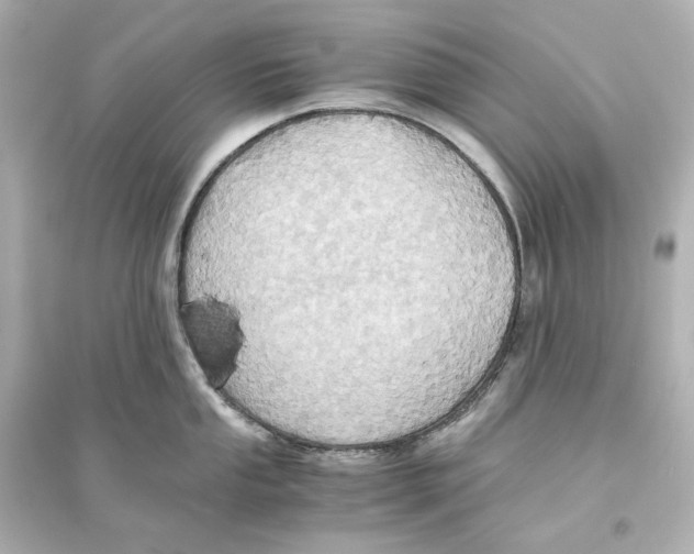 X0000093611053200711121207