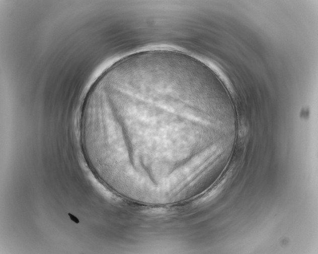 X0000093611054200711121208