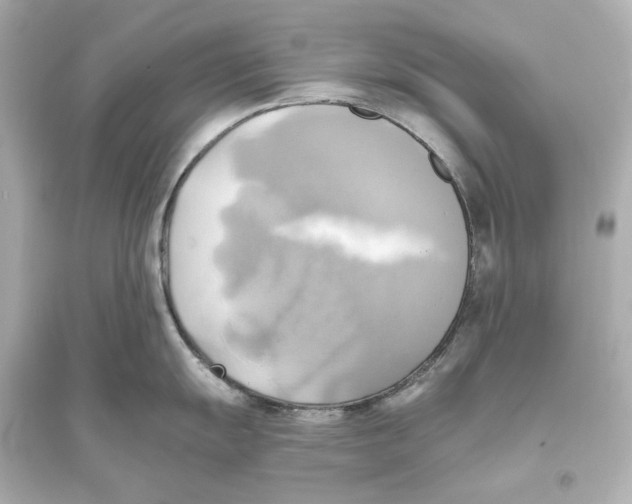 X0000093611055200711121208