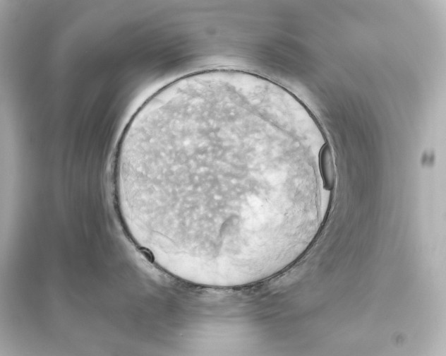X0000093611056200711121208