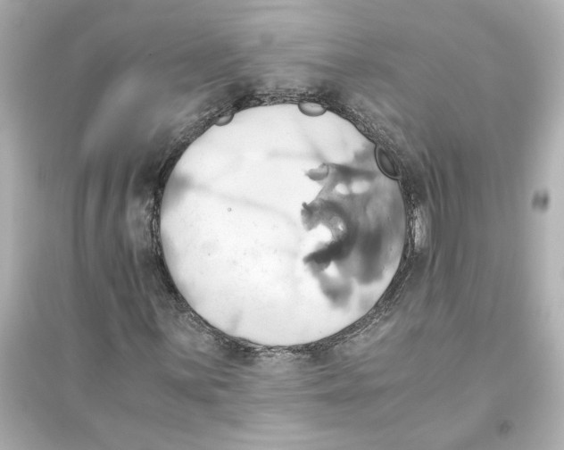 X0000093611059200711121207