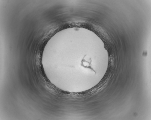 X0000093611060200711121207