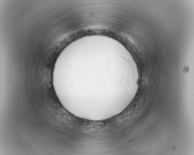 X0000093611062200711121207