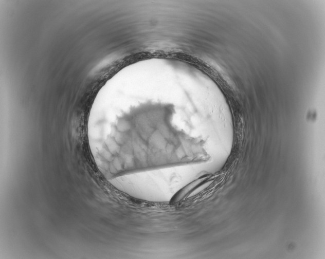 X0000093611063200711121207