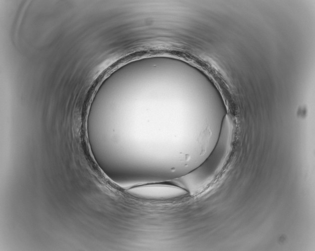 X0000093611065200711121207