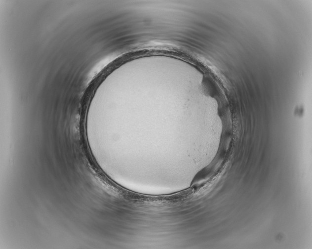 X0000093611066200711121207