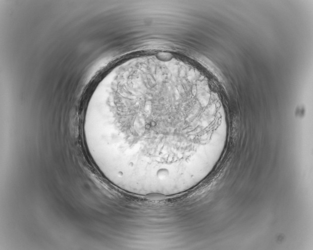 X0000093611067200711121207