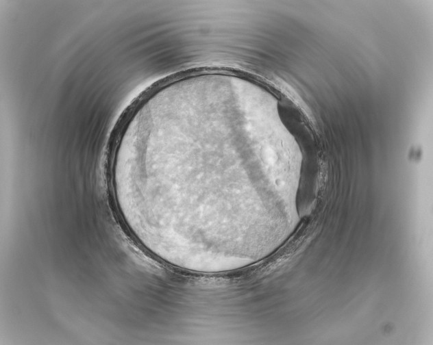 X0000093611068200711121207