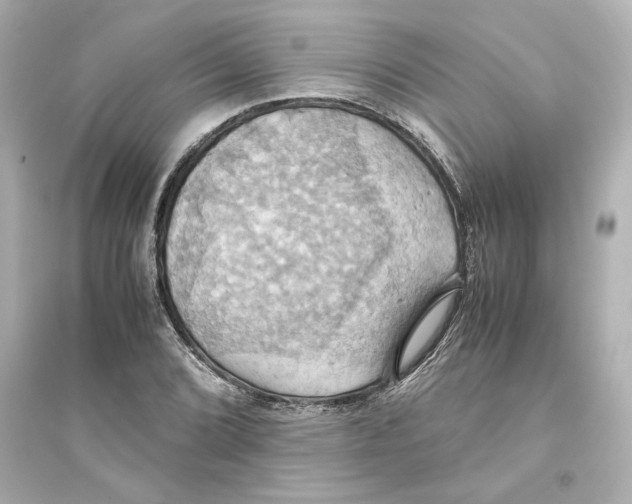 X0000093611072200711121207