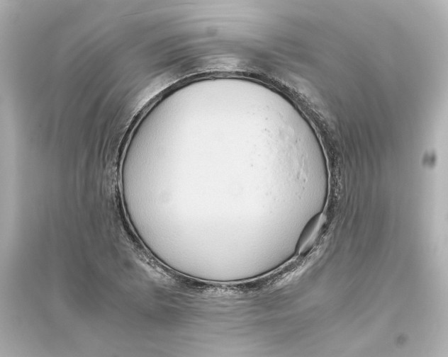 X0000093611073200711121207