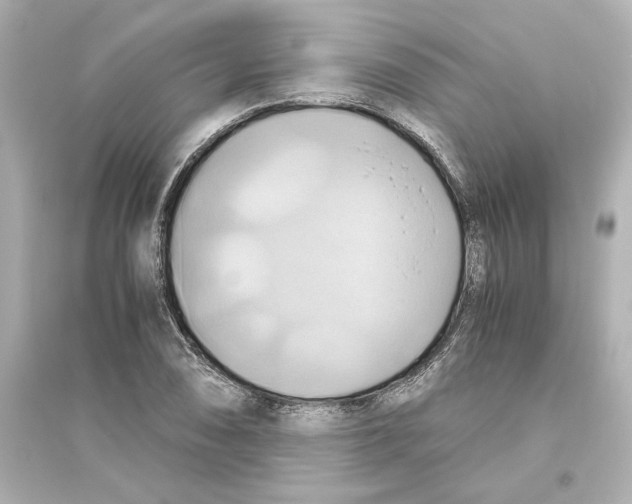 X0000093611074200711121207