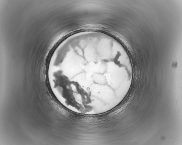 X0000093611075200711121207