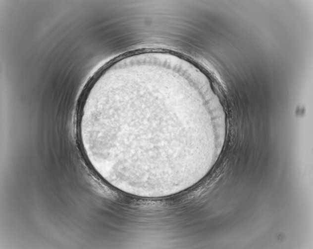 X0000093611076200711121207