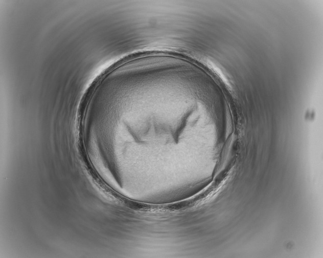 X0000093611077200711121207