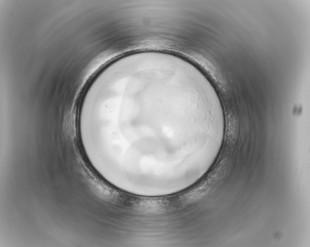X0000093611078200711121207