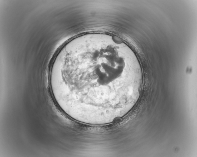 X0000093611079200711121207